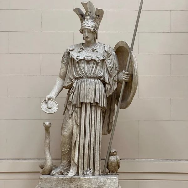 Athena Symbol Guide: Complete List of All Her Symbols —